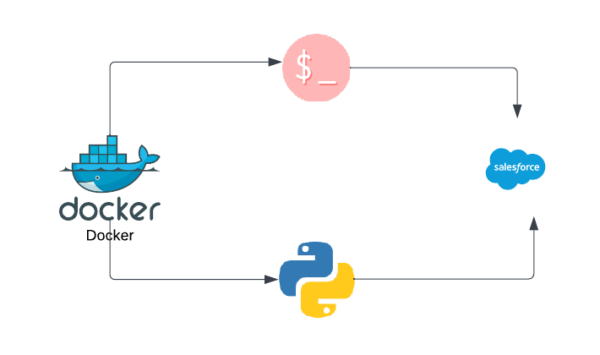 SFDX CLI and python inside docker